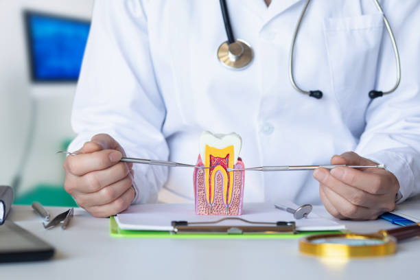 Best Emergency Root Canal Treatment in Sharon, TN